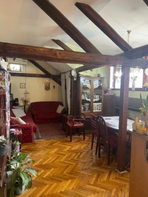 Close to Slavia square apartment